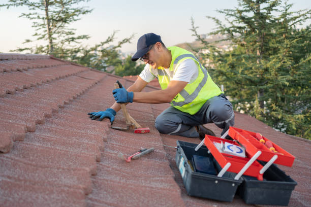 Roof Repair Estimates in South Apopka, FL