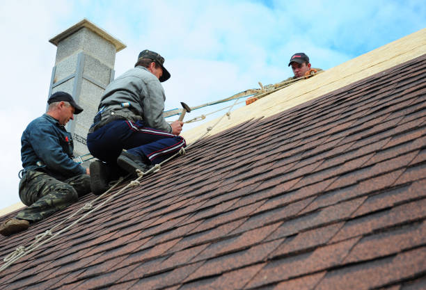Quick and Trustworthy Emergency Roof Repair Services in South Apopka, FL